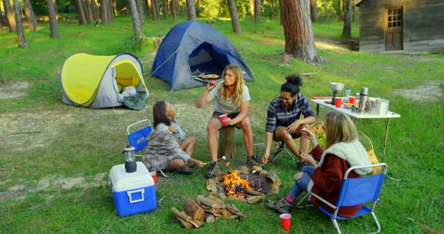 Friends Enjoying Campfire Outdoors in Forest with Tents - Download Free Stock Images Pikwizard.com