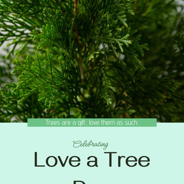 Trees are gift, love them as such and celebrating love a tree day text over closeup of green plants. Composite, nature, care, plantation, organic, growth and celebration concept.