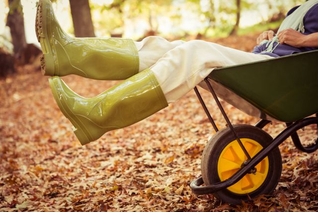 Low section of a female gardener sitting in a wheelbarrow, wearing green boots. The ground is covered with autumn leaves, suggesting a fall season setting. Ideal for use in gardening blogs, autumn-themed promotions, and outdoor lifestyle content.