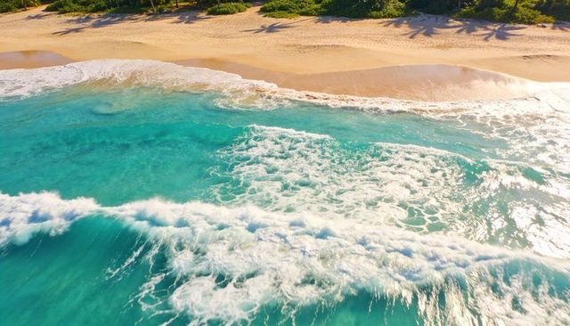 Turquoise waves rolling onto golden tropical beach with white foam and palm tree shadows