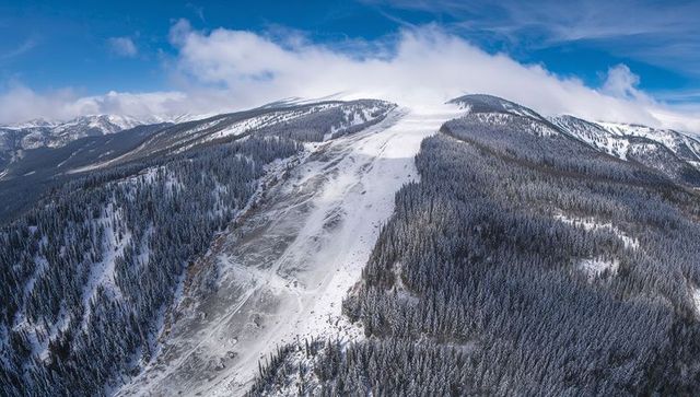 Aerial view showing snowy alpine ridge revealing cleared ski run and snow-dusted forest