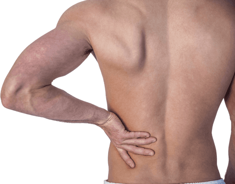 Transparent view of man experiencing back pain