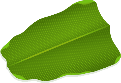 Stylized Green Leaf with Transparent Background Highlighting Veins and Midrib - Download Free Stock Videos Pikwizard.com