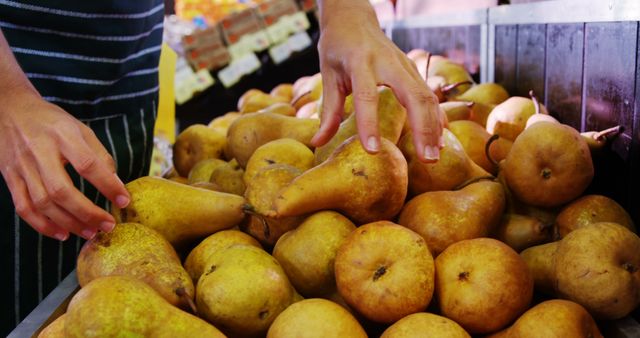 Mid section of female staff arranging pears in organic section of supermarket