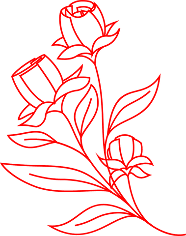 Minimalistic red rosebuds line art on transparent background