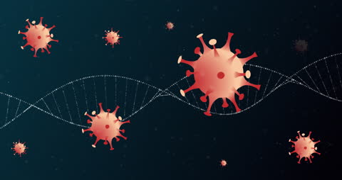 Digital Concept of Virus Cells and DNA Strand