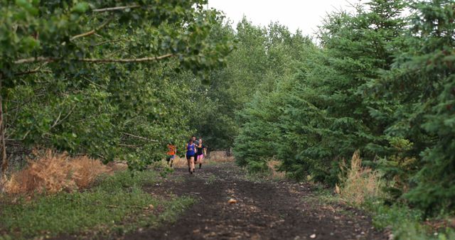Two people wearing backpacks walking down dirt path surrounded by green trees - Download Free Stock Photos Pikwizard.com
