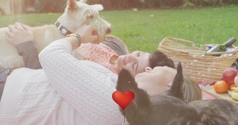 Happy Couple Relaxing with Dogs at Outdoor Picnic - Download Free Stock Images Pikwizard.com
