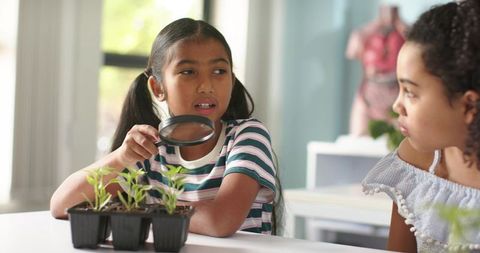 Asian girl examining seedlings with magnifying glass while african american girl observes