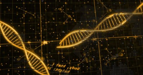 Digital Representation of DNA Strands in Data Processing Environment