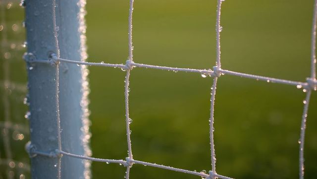 Backlit dew-covered knotted sports net catching golden morning light over grass field