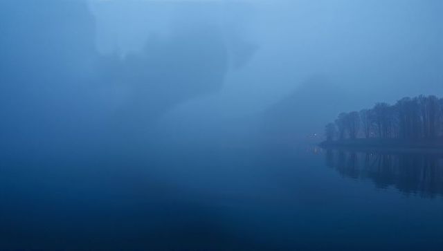 Misty blue lakeshore at dawn with tree silhouettes reflecting on calm water and soft lights