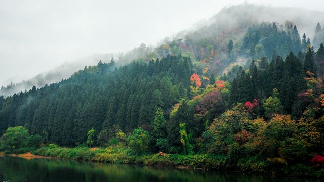 Lush hillside forest covered in mist reflects off a calm lake, creating a tranquil autumn landscape. Perfect for backgrounds, travel brochures, nature-related blogs, or wellness and relaxation themes.