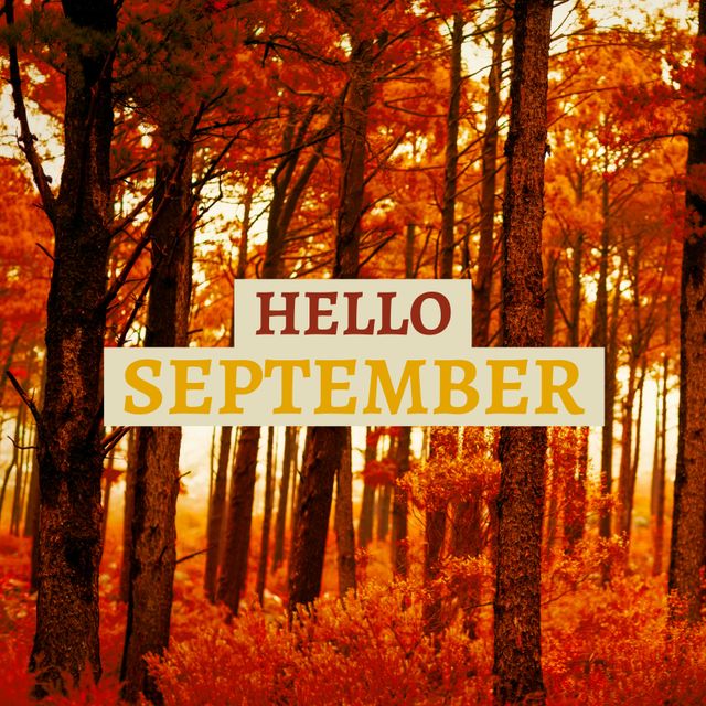 Hello September Text on Autumn Forest Background - Download Free Stock Templates Pikwizard.com