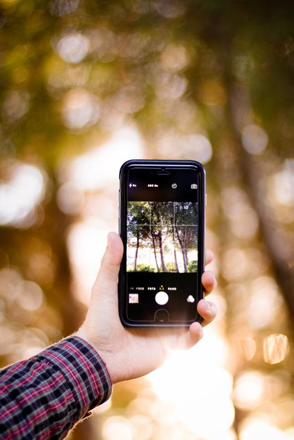 Hand holding smartphone taking photo of tree scenery in forest with natural light background. Useful for articles on mobile photography, technology use, or outdoor activities. Great for illustrating trends in capturing nature using mobile devices.
