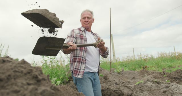 Senior Man Shoveling Dirt During Gardening in Sunny Field - Download Free Stock Images Pikwizard.com