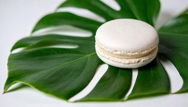Pale vanilla macaron resting on monstera leaf minimal tropical dessert styling