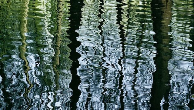 Rippling tree trunk reflections on pond surface abstract vertical water texture