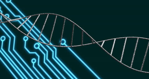 DNA Helix in Technological Digital Fusion Concept