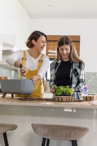 Friends potting herbs on kitchen island, urban indoor gardening and seedling care