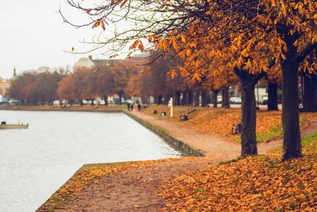 This serene autumn scene shows a peaceful park by a river, lined with trees shedding colorful leaves. A path covered with fallen leaves stretches along the riverbank with empty benches scattered. Beautiful autumn foliage captures the season perfectly, making it ideal for use in promotions about nature, travel, seasons, outdoor activities, and tranquility.