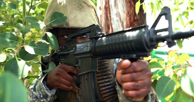 Soldier Aiming Through Foliage with Assault Rifle in Jungle - Download Free Stock Images Pikwizard.com