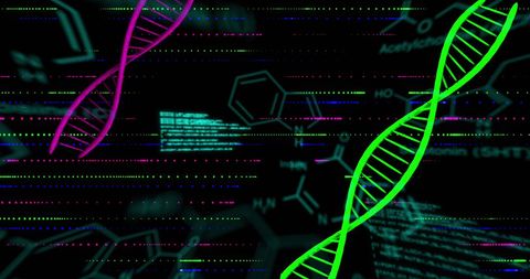 DNA Strands and Data Processing on Digital Chemical Background - Download Free Stock Images Pikwizard.com