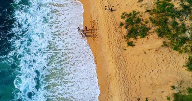 Aerial View of Sandy Beach with Group of People Enjoying Ocean Waves - Download Free Stock Images Pikwizard.com