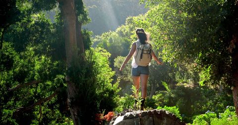 Solo adventure hiker enjoys tranquility in sunlit forest
