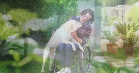 Man in Wheelchair Enjoying Outdoor Bond with Labrador