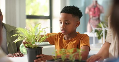 African american boy watering potted fern in hands-on classroom science lesson