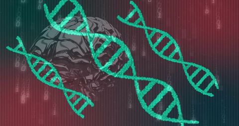 Glowing dna helices overlaying digital brain and binary data for neurotechnology research