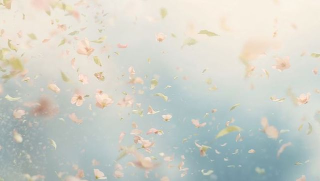Soft pastel blossom petals drifting through air over blurred blue sky with gentle bokeh