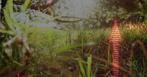Futuristic Neon Holographic Arrow Over Sunlit Forest Grass