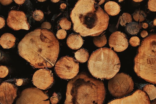 Close-up view of a pile of tree logs highlighting the natural texture and grain. Ideal for use in articles, blogs, or websites focused on forestry, deforestation, natural resources, and environmental conservation. Can also be used as a background image or for print materials related to outdoors, camping, and woodworking.