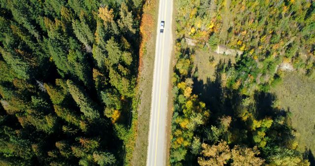 Aerial View of Lonely Car Driving Through Forest Road - Download Free Stock Images Pikwizard.com