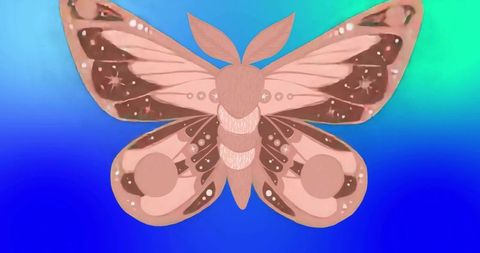 Stylized Moth on Vibrant Gradient Background