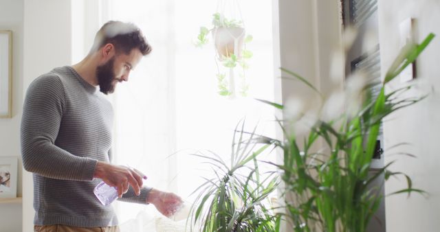 Man Watering Indoor Plants in Stylish Apartment - Download Free Stock Images Pikwizard.com