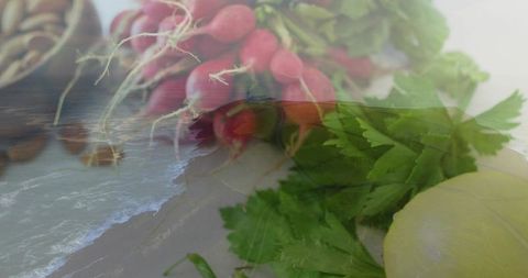 Coastal double-exposure radishes and parsley blending with subtle waves, farm-to-table mood