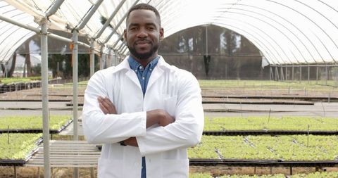 Agricultural scientist in hydroponic farm conducting research