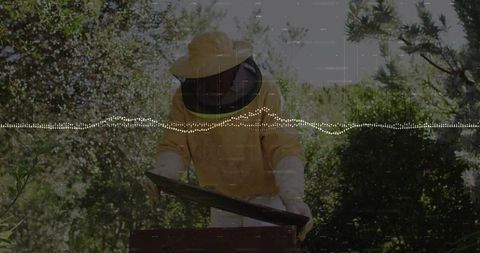 Beekeeper wearing yellow suit inspecting hive lifting frame with soundwave overlay