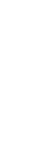 Silhouette of Woman on Transparent Background for Lifestyle Concept