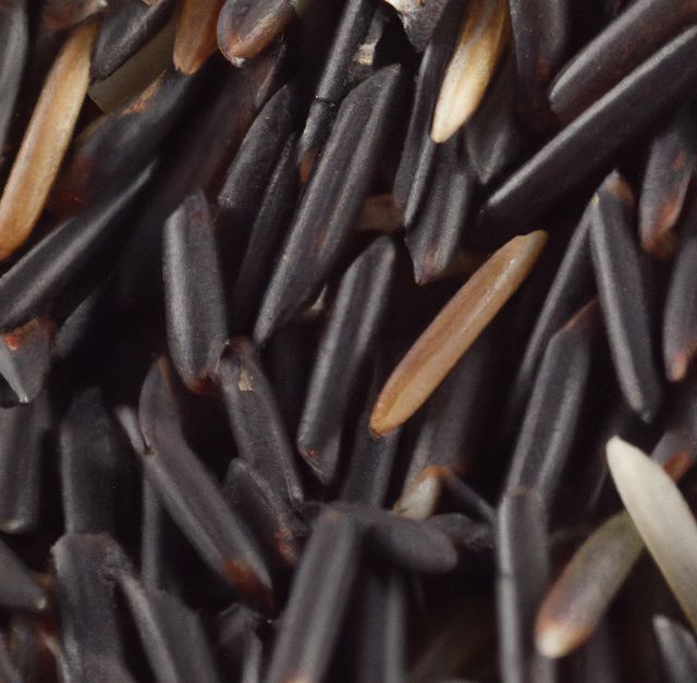 Black rice grains displayed in detailed close-up, highlighting their rich texture and dark hue. Ideal for use in culinary blogs, organic food promotions, health and wellness articles, or gourmet recipe websites.