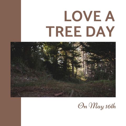 Celebration of Love a Tree Day with Idyllic Forest View - Download Free Stock Templates Pikwizard.com