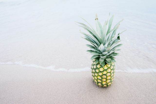 Fresh Pineapple on Sandy Beach by the Sea - Download Free Stock Photos Pikwizard.com