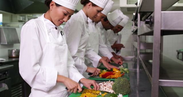 Team of Professional Chefs Preparing Vegetables in Modern Kitchen - Download Free Stock Images Pikwizard.com