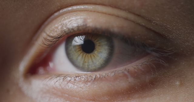 Close-Up of Green Eye with Detailed Iris in Natural Light - Download Free Stock Images Pikwizard.com