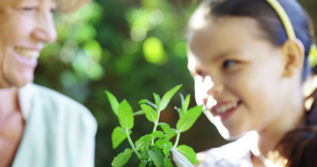 Grandmother and Girl Enjoying Garden Together in Summer - Download Free Stock Images Pikwizard.com