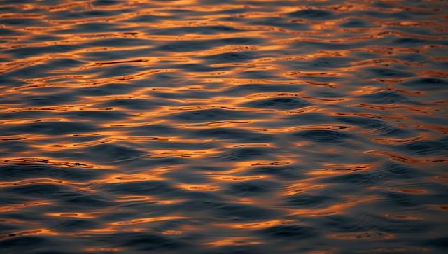 Golden rippling water surface at sunrise reflecting warm amber light and glossy waves