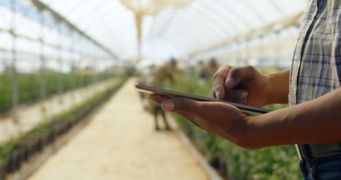 Farmer Using Tablet in Greenhouse for Crop Monitoring - Download Free Stock Images Pikwizard.com